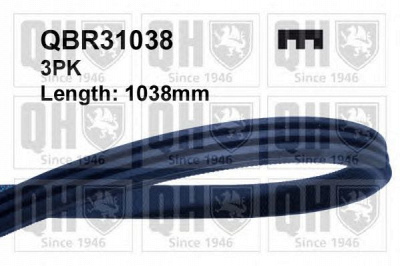 QUINTON HAZELL qbr31038 -  Поликлиновой ремень